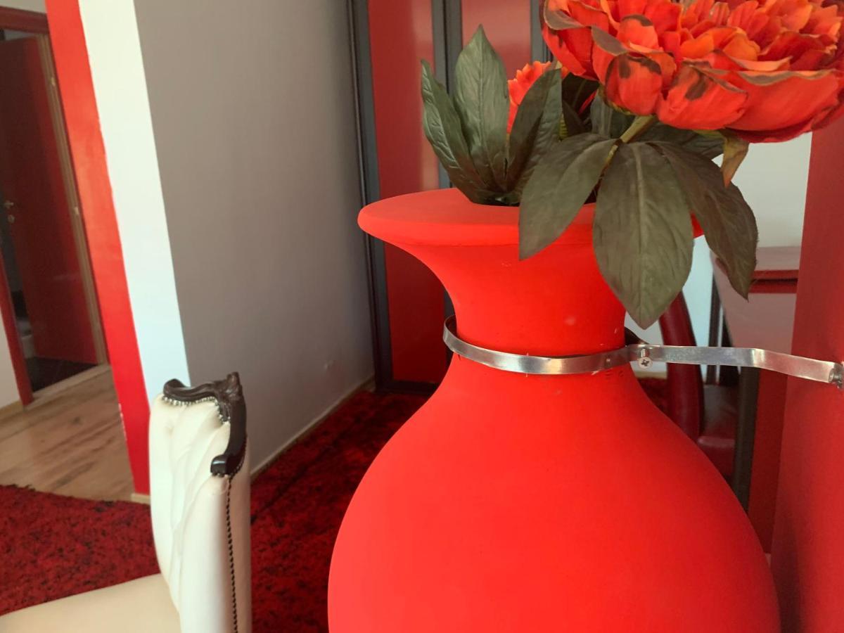 טיראנה Hotel Rosa Blu מראה חיצוני תמונה
